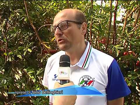 immagine di anteprima del video: Intervista Cesare Natoli RTP, 14 giugno 2019