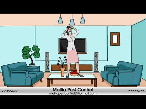 immagine di anteprima del video: Mallia Pest Control SPONSOR